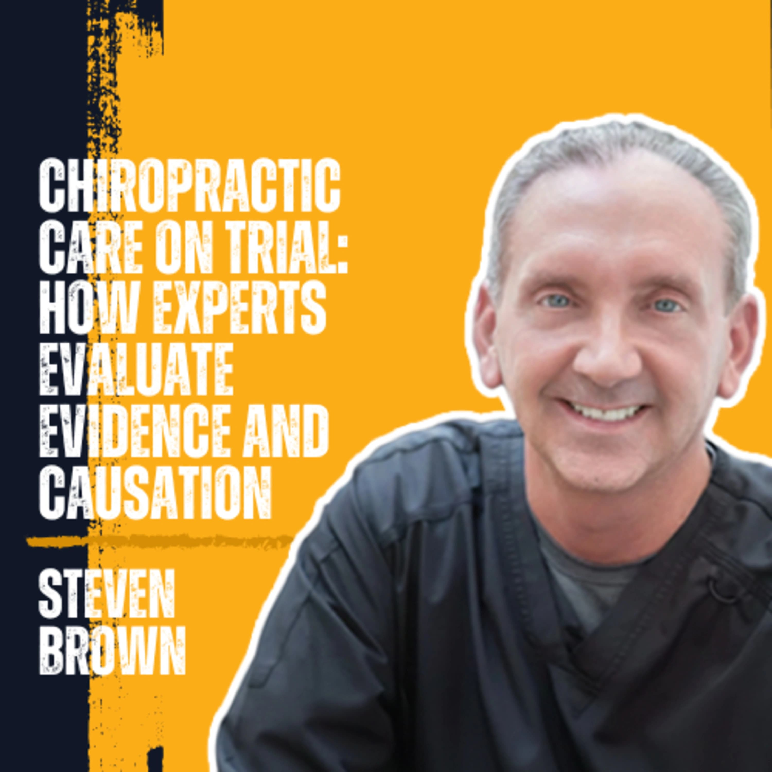 Chiropractic Care on Trial: How Experts Evaluate Evidence and Causation